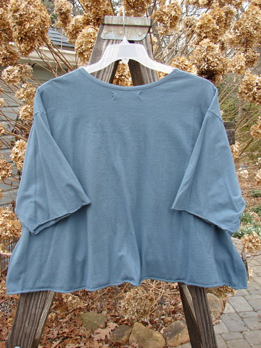 Barclay Crop A Lined Tee Top Continuous Pinwheel Puddle Size 2 displayed on a hanger, featuring a wide boxy shape, rounded rolled neckline, and sweet rolled edgings.