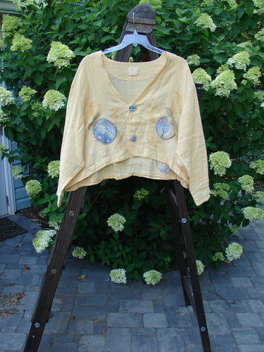1999 Weathervane Jacket Summer Fruit Buttercup Size 2 displayed outdoors, featuring blue designs, mix-match buttons, and a rounded side hem, hanging on a swinger amidst a garden setting.
