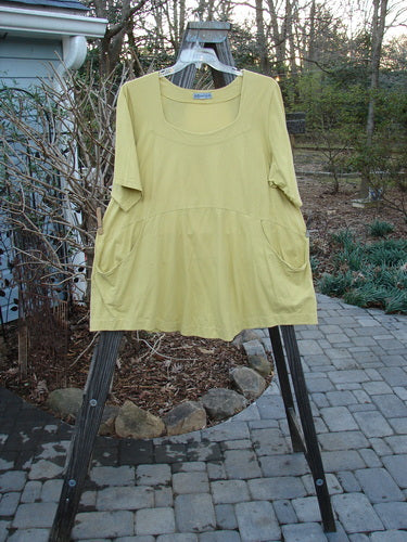 A yellow Barclay Be There Top, size 2, on a clothesline. Organic cotton, squared double paneled neckline, empire waist seam, full pleats, forever skirt flair. Bust 54, waist 56, hips 60, hem circumference 80, length 32 inches.