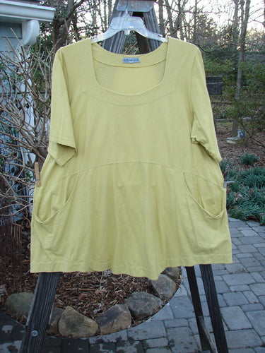 Barclay Be There Top Unpainted Sunshine Size 2 on a rack, showcasing its empire waist seam, wide pleats, and flared skirt.