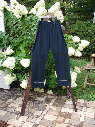 Barclay Cotton Hemp Banded Straight Pant Unpainted Black Size 2: A pair of pants on a clothes rack, with a forgiving feel and slightly widening lowers. Perfect condition, made from a lighter weight cotton hemp blend.