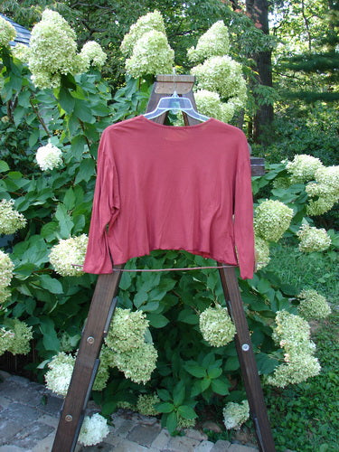 Image alt text: Barclay Batiste Pinch Crop Top Unpainted Autumn Size 1, red shirt on a swinger, close-up of a plant, outdoor garden fashion.