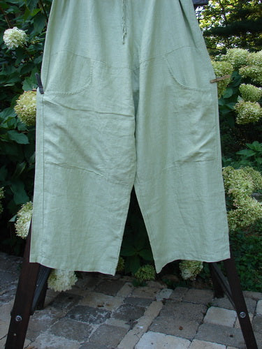 2000 Linen Cross Dye Map Pocket Pant Unpainted Celery Size 2, featuring wide legs, deep front cargo pockets, and a full elastic waist, hanging on a wooden frame outdoors with hydrangeas in the background.