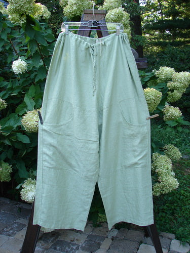 2000 Linen Cross Dye Map Pocket Pant Unpainted Celery Size 2 hanging outdoors, showcasing loose-fitting design with elastic drawstring waist, deep cargo pockets, and widening lowers, perfect for expressing individual style.