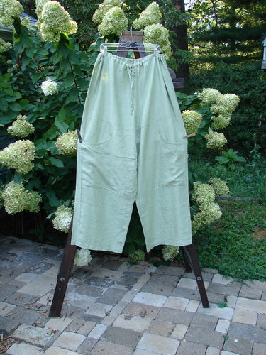 2000 Linen Cross Dye Map Pocket Pant Unpainted Celery Size 2, featuring a loose-fit with drawstring waist and deep cargo pockets, displayed outdoors on a wooden rack amidst a garden setting.