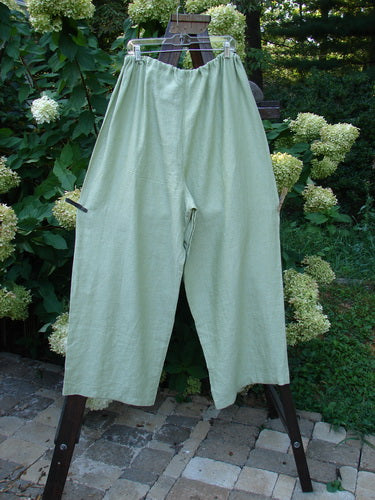 2000 Linen Cross Dye Map Pocket Pant Unpainted Celery Size 2 displayed outdoors, highlighting its loose fit, full elastic waist, deep cargo pockets, and widening lowers, reflecting BlueFishFinder's vintage aesthetic.