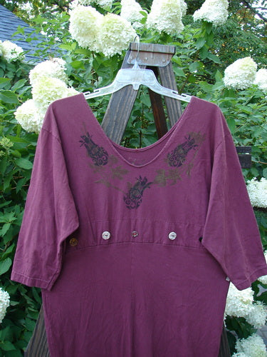 1993 Deep Neck Button Dress Woodberry Roman Strings OSFA displayed on a hanger, showcasing its deep neckline, button accents, lower tapering shape, and three vertical interior draw cords.