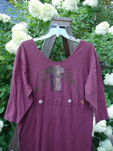 1993 Deep Neck Button Dress Woodberry Roman Strings OSFA: A purple shirt with a picture on it, featuring a deep and wide neckline, lower tapering shape, and empire seam button accent.
