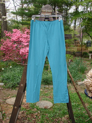 Barclay NWT Batiste Layering Pant Legging Unpainted Turquoise Size 2: A pair of blue pants on a rack, perfect for layering.