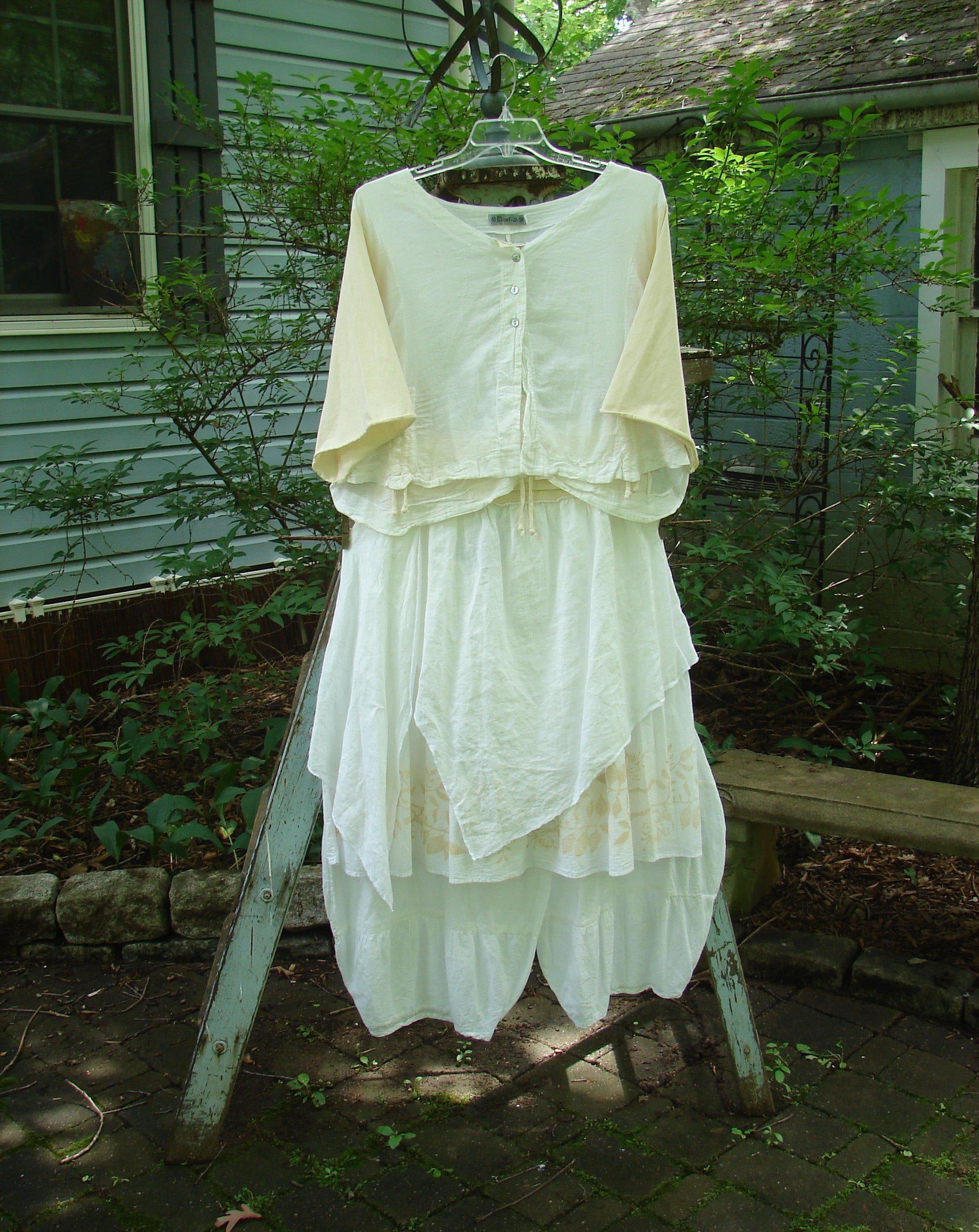A white dress on a mannequin, part of the Barclay NWT Batiste Draw Midi Meadow Trio in White Size 2. Features include a wider boxier crop shape, three-button front, and a full cotton paneled waistline. Perfect for spring or summer with a lovely simple daisy theme paint.