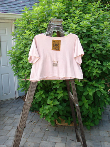 1993 Travel Top Oval Gardens Dried Rose Size 1: A pink shirt with a square on it, featuring a deeply scooped neckline, lovely crop shape, and button accents. Perfect for layering with Blue Fish pieces.
