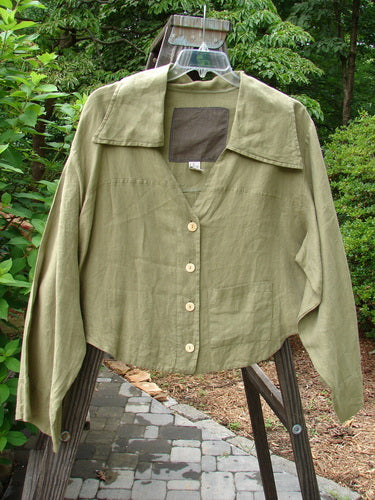 Barclay Linen Crop Collar Pocket Jacket in Peapod Size 2 on a hanger, featuring a wide collar, deep V neckline, front drop pocket, and button front, displayed against an outdoor backdrop.