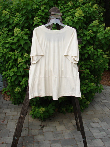 Image alt text: Barclay Be There Top, a white shirt on a clothesline, made from organic cotton. Features include a squared double-paneled deeper neckline, empire waist seam, wide full pleats, and a forever skirt flair. Size 2.