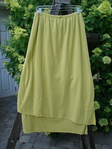 Barclay NWT Double Layer Prospect Park Skirt Floral Citron Size 2, hung on a clothesline, showcasing its diagonal front floral design and layered organic cotton construction with a full elastic waistline.