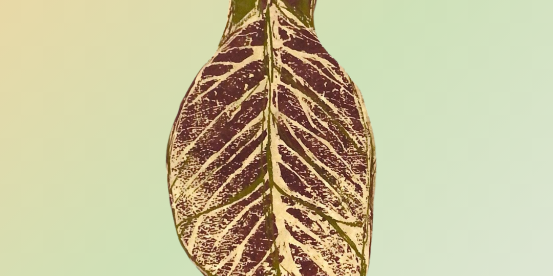 A close-up of a uniquely shaped hang tag depicting a woman's short sleeved long dress painted in a leaf pattern. Text surrounds the center in a red brown color on a pale sandy yellow background. The tags appears to float off the backdrop of pastel green.