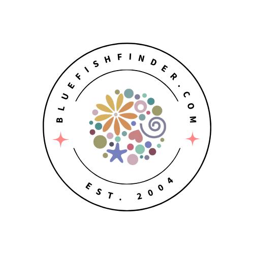 💟 ADMIN DRAFT: FEB 25