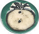Round Blue Fish Porcelain glazed button in high gloss green in the Tomato Etched Theme.