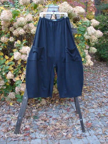 Image: A pair of black pants with pockets hanging on a rack outdoors. 

Description: Barclay Interlock Slouch Pocket Pant Unpainted Black Size 2. Heavyweight cotton interlock pants with a full elastic waistline, exterior drop front pockets, and a deep inseam. Perfect for mixing and matching with other cozy pieces.