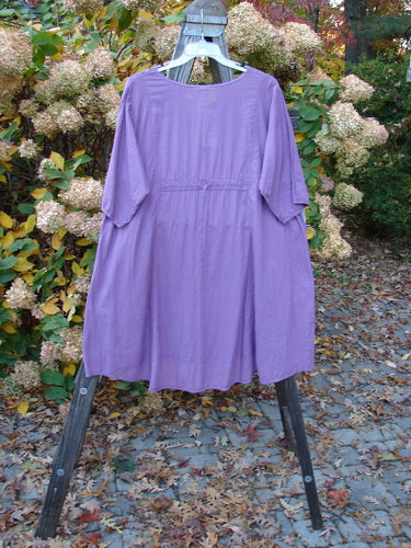 Barclay NWT Batiste Bliss Dress: Featherweight organic cotton dress with rounded neckline, short sleeves, flop pockets, and drawcord back. Strawberry theme paint. Size 2, violet color.