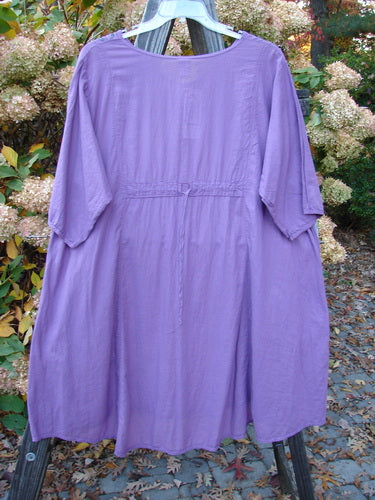 Barclay NWT Batiste Bliss Dress with strawberry theme art, short sleeves, and flop pockets on a swinger. Size 2, violet. 38" length.