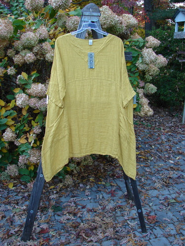 Barclay NWT Gauze Cross Over Urchin Dress, size 2, on a swinger with flop pockets, three-quarter sleeves, and unique sectional panels.
