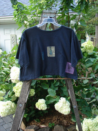 1991 Crop T Top Music Days Black OSFA on a swing, showcasing short sleeves, a thicker rolled neckline, crop length, and the signature Blue Fish patch, highlighting its vintage collectible status.