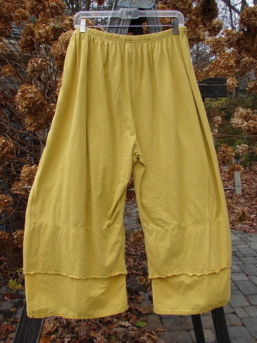 Barclay NWT Crop Double Petal Pant Size 2, elastic waist, generous hips, double petal accents, perfect for spring.
