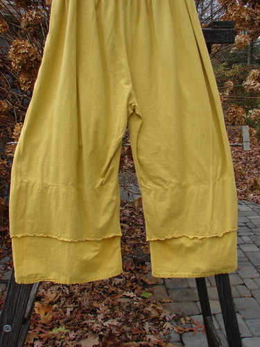 Barclay NWT Crop Double Petal Pant Size 2, a pair of pants with double petal accents, perfect for spring or summer.