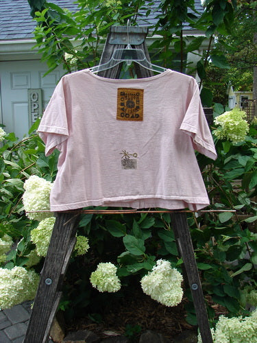 1993 Travel Top Oval Gardens Dried Rose Size 1 displayed on a swing, featuring a deeply scooped neckline, crop shape, and a signature Blue Fish patch.