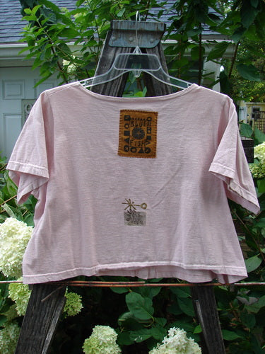 1993 Travel Top Oval Gardens Dried Rose Size 1, featuring a deeply scooped neckline, crop shape, and Blue Fish patch on back center, displayed on a swinger.