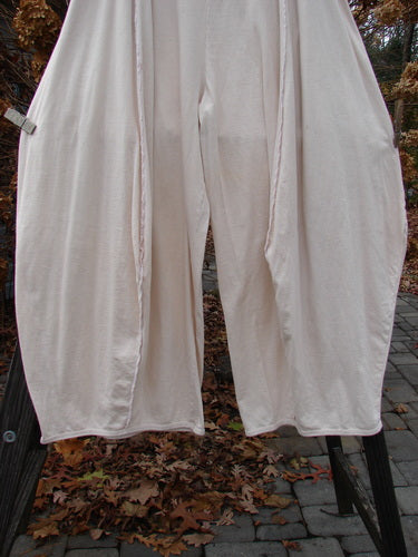 A pair of Barclay NWT Exterior Stitch Plane Pants, size 2, made from organic cotton. Features include exterior vertical curvy seams, wide lowers, and double front drop pockets. Perfect condition.