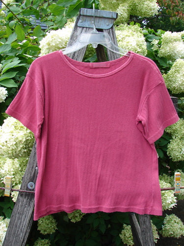 1997 Pointelle Short Sleeved Undertop in unpainted geranium, Tiny Size 2, a soft pink knit tee with a narrow ribbed neckline, short sleeves, and a lightly sheer pointelle texture. It hangs centered on a clear hanger against a weathered wooden ladder and white hydrangeas.