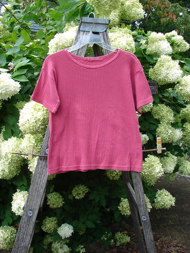 1997 Pointelle Short Sleeved Undertop in unpainted geranium, tiny size 2, a pink short-sleeve knit with a fine pointelle texture and softly rolled neckline and hems. It hangs centered on a weathered wooden ladder, framed by dense green leaves and white hydrangea blooms.