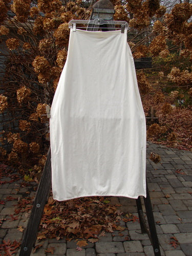 2001 Slim Slit Skirt hanging on clothesline outdoors.