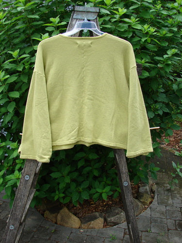 Barclay Fleece Crop Boxy Sweatshirt featuring Blue Fish Logo and wide, cozy sleeves, displayed on a wooden ladder. The sweatshirt has a boxy silhouette, perfect for showcasing the brand's unique style.