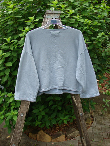 Barclay Fleece Crop Boxy Sweatshirt Blue Fish Land Trinket OSFA displayed on a wooden ladder, showcasing its wide sleeves, rounded neckline, and unique blue fish land theme art.