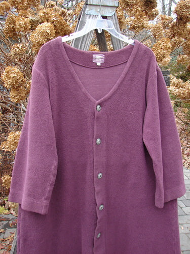 2000 Celtic Moss Hobo Coat in Murple, Size 1. A plush, heavy outerwear piece made from soft Celtic Moss fabric. Features include metal buttons, a V neckline, belled sleeves, and a hidden oversized interior pocket.