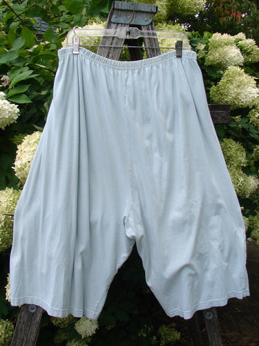 Barclay Bushel Short Planetarium in clear blue, size 2, shown as loose-fitting shorts with a soft drape, elastic waistband, and wide leg openings. The lightweight fabric hangs from a clear hanger, set against leafy green hydrangeas and weathered wood.