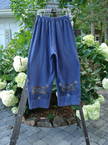 1995 Reprocessed Fitzgerald Pant Fish Star Royal Orchid Altered Size 1 displayed on a wooden rack, featuring fish designs and a dense cotton texture with a two-inch elastic waistline and side pockets.