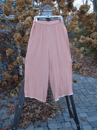 1998 Gauze Shell Layering Duo Tiny Floral Blush Size 2: A pair of pants on a swinger, close-up of a pair of pants, pink pants on a rack.