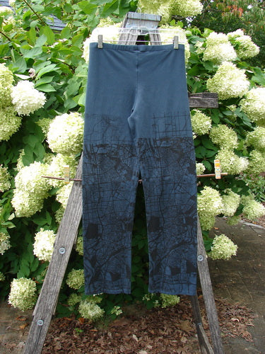 Barclay Cotton Lycra Straight Pant City Plan Lux Silhouette size 0 in dark blue, with a slim straight-leg cut and black city-map graphic concentrated along the lower legs. The stretchy cotton-lycra fabric hangs from a wooden ladder outdoors, framed by dense green foliage and white hydrangea blooms.