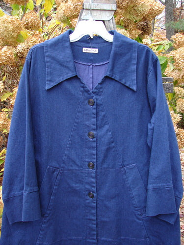 Barclay denim coat with triangular collar, A-line shape, and unique panel design, size 2.