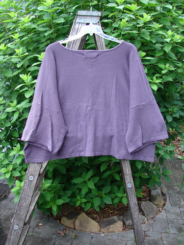 Barclay Thermal Boxy Crop Top Spiro Floral Dusty Plum OSFA displayed on a wooden ladder, showcasing its three-quarter sleeves, scooped neckline, and spirograph floral pattern, reflecting BlueFishFinder's vintage ethos.