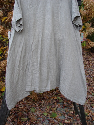 Barclay Linen Figure 8 Drop Pocket Tunic Dress Hourglass Wheat Size 2 on rack, close-up of leaves on ground.