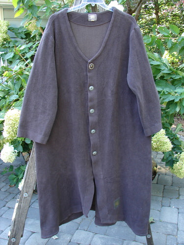 2000 Celtic Moss Hobo Coat Unpainted Brum Size 2 displayed on a clothes rack, featuring a long, plush design with metal buttons, deep V neckline, and belled sleeves.