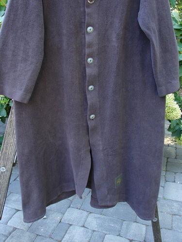 2000 Celtic Moss Hobo Coat Unpainted Brum Size 2 displayed on a wooden ladder, featuring five metal-like buttons, deep V neckline, belled sleeves, and Blue Fish Signature Patch.