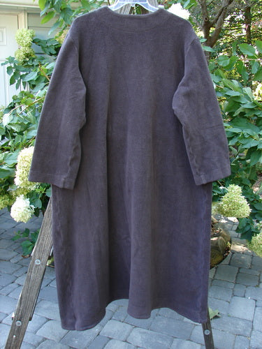 2000 Celtic Moss Hobo Coat Unpainted Brum Size 2, displayed on a wooden ladder, featuring 5 metal-like buttons, belled sleeves, deep V neckline, and a Blue Fish signature patch.