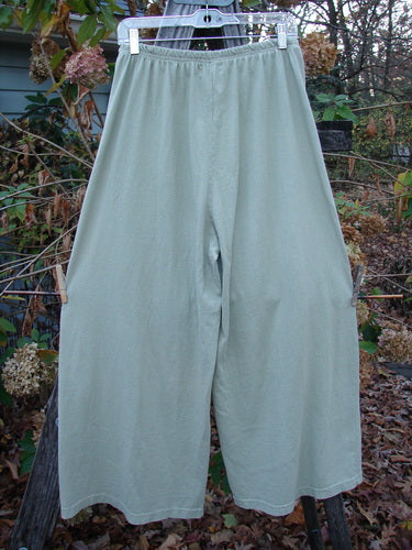 2001 Wishpocket Pant Airplane Kelp Size 1 displayed hanging outdoors, showcasing its wide swingy lowers, exterior painted knee pockets, and full elastic waistline, embodying Bluefishfinder.com's vintage clothing essence.