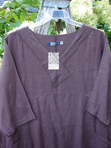 Barclay NWT Linen Cross Over Incense Dress in size 0, a deep plum linen dress with a crossover V-neck and three-quarter sleeves, shown on a clear hanger. The textured fabric and hanging tag are visible, with leafy greenery softly framing the background.