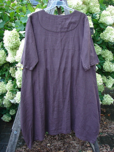 Barclay NWT Linen Cross Over Incense Dress Structural Diamond Floral Fig Size 0, a loose fig-purple linen dress with a rounded neckline, short sleeves, and a softly draped A-line shape. It hangs from a hanger outdoors against dense green foliage, with the textured weave and matte finish clearly visible.